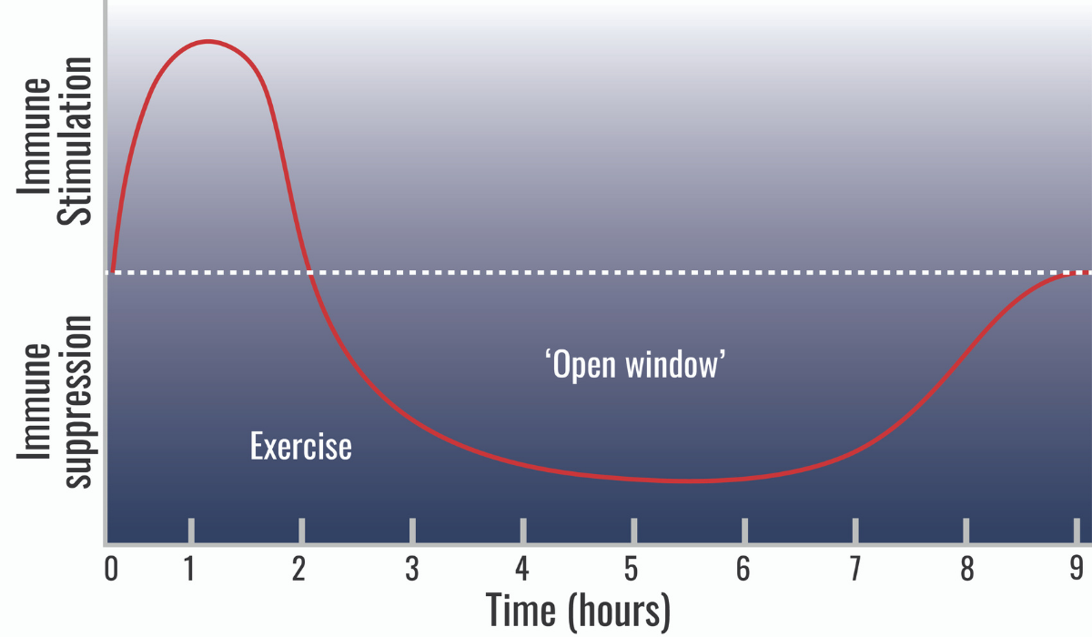does-exercise-increse-immune-response